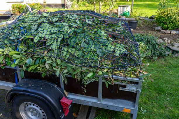 Best Yard Waste Removal  in USA